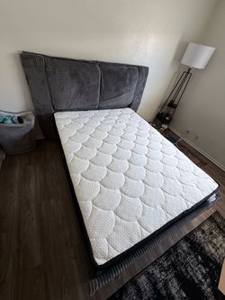 New in Box Mattresses