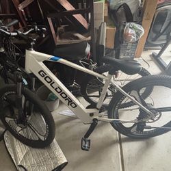 Goldoro 26" e-bike