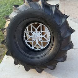 Packard Performance Carbon V2 sand Paddles X3