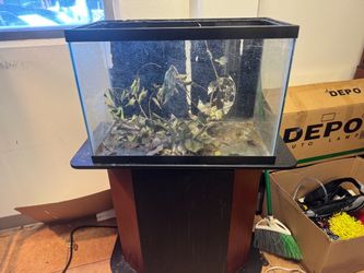 Glass Aquarium Tank with Black Frame