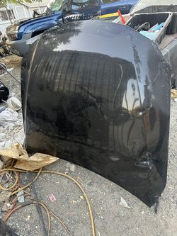 Lexus IS250 Front Hood $60 OBO
