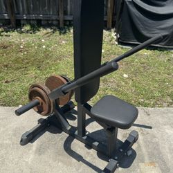 Workout Weights 