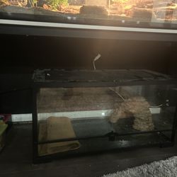 40 Gallon Reptile Tank 