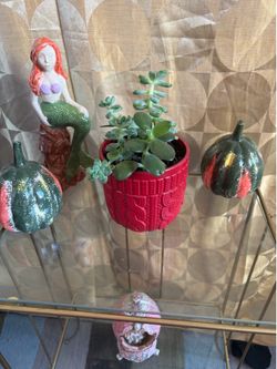 Plant