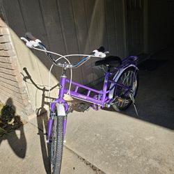 20" Purple Bicycle with Rear Rack