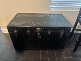 Chest/Trunk