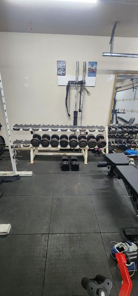 Pro Style Iron Dumbbells