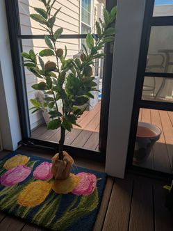 Faux Lemon Tree
