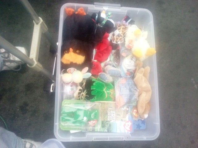 Ty Jingle babbiesbennie Babbys