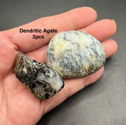 Dendritic Agate Polished Stone from USA & Madagascar 2pcs  55.4g Total