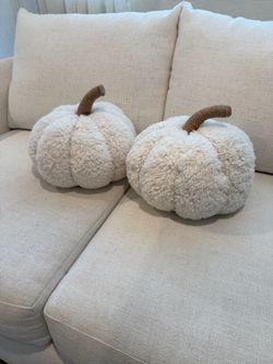 Pottery Barn Set of 2 Ivory Cozy Pumpkin Pillow