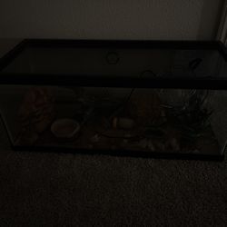 20 Gallon Reptile Tank