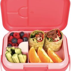 Bento Lunch Box for Kids, Girls, Boys, Toddlers, 3.7 Cups 4 Compartments Lunch Containers, Ideal Kids Lunch Box for Children, Microwave, Dishwasher, F