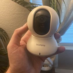 Blurams Smart Pan-tilt Camera Dome-Lite 2