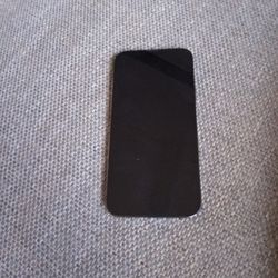 iPhone 13  Pro Max