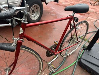 Free spirit (sears Rosbuck & Co) 10 Speed 