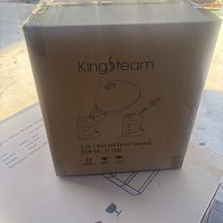Hair And facial steamer 