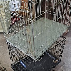 Animals Cage