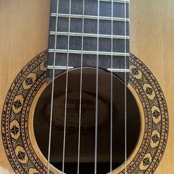 Sunlite Acoustic Guitar