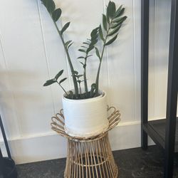 Planter Stand With Pot And Plant 