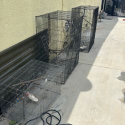 Bird Cages For Sale