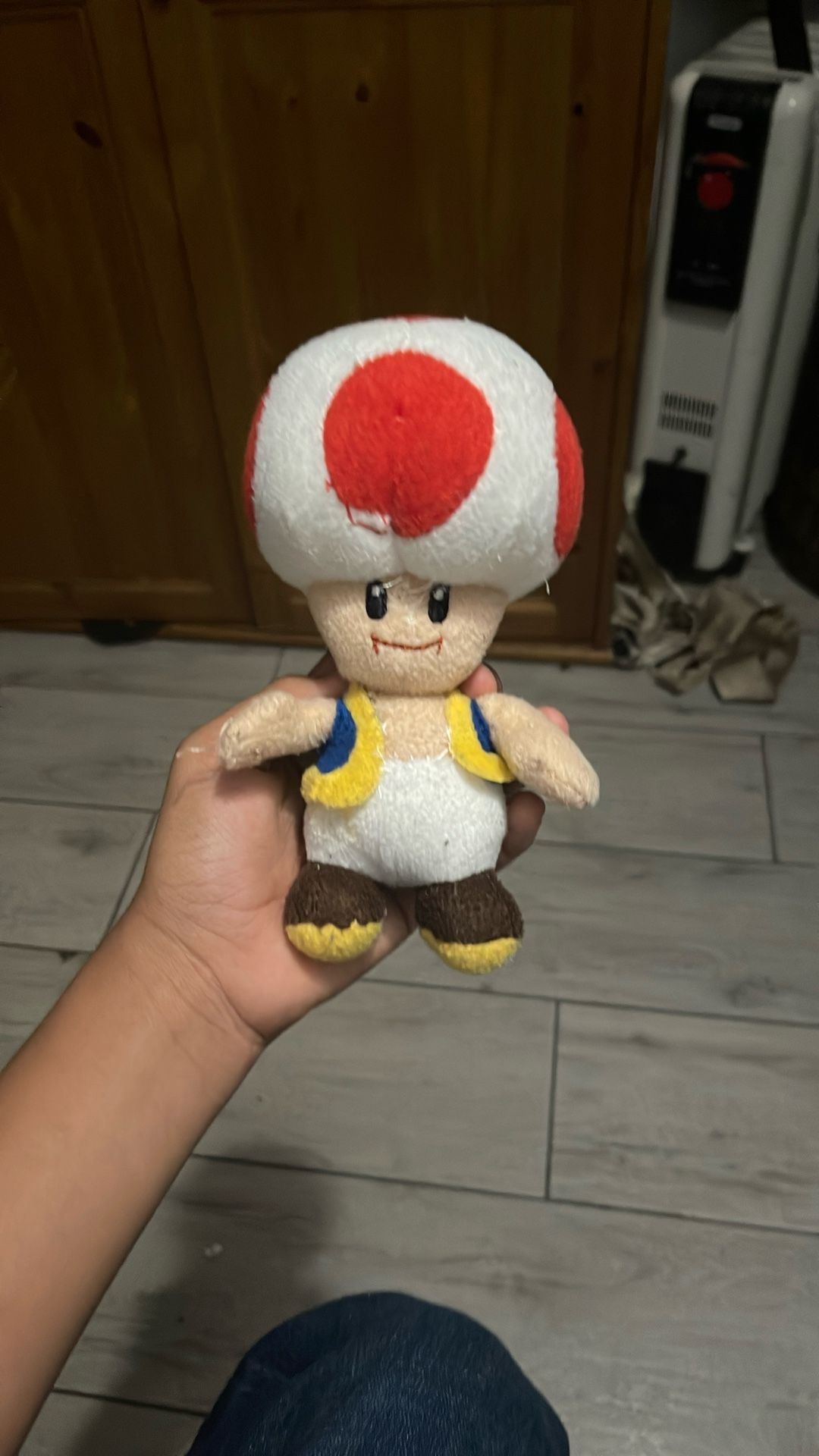 Toad Not The Best Condition