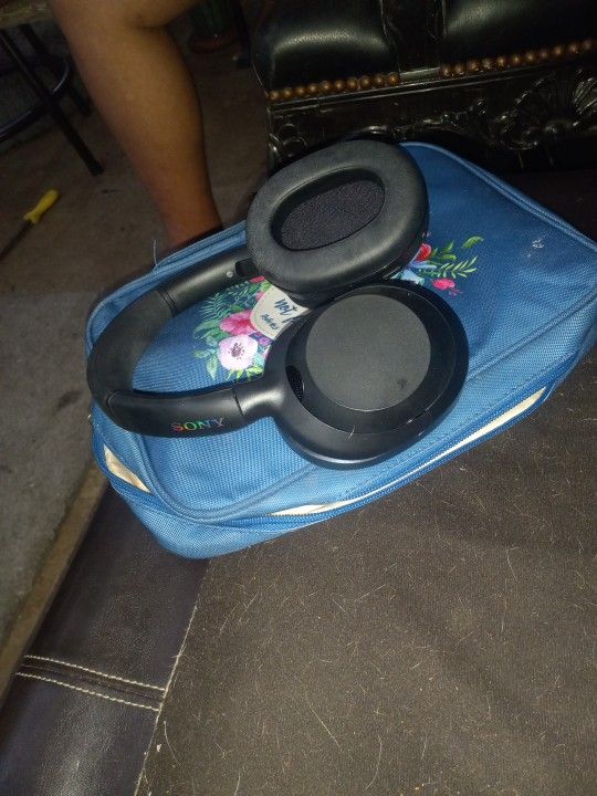 Sony Ultimate Headphones