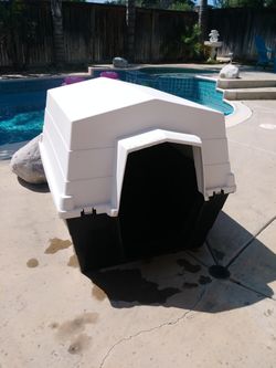 Dog House