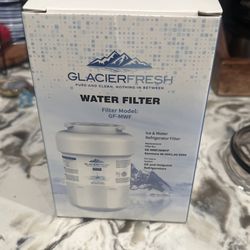 GE water Filter