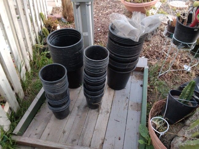 Lots Of  1 Gallon And 3 Gallon Plant Pots With Draining Mesh