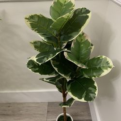 36 "Artificial Plant With Pot