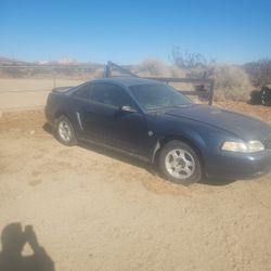 1999 Ford Mustang