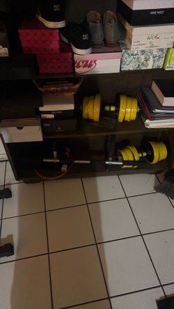 Two 25 Pound Adjustable weight dumbbells , and a pull up bar