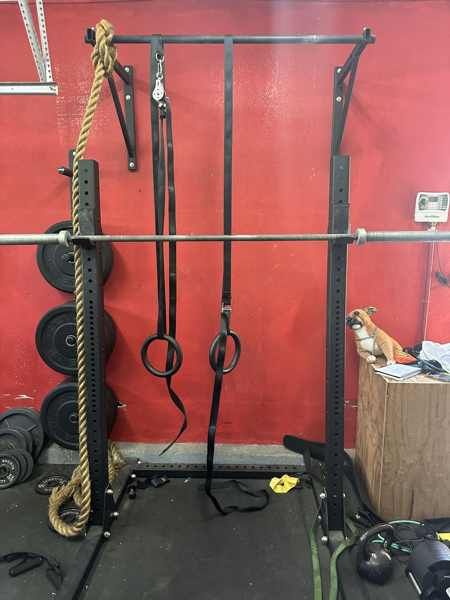 Rogue Home Workout Package