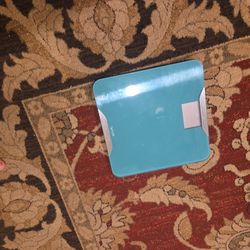 Glass Body Scale 15 Bucks