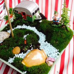 Miniature Fairy Garden...Live Moss Real Trees