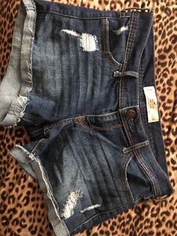 Hollister shorts