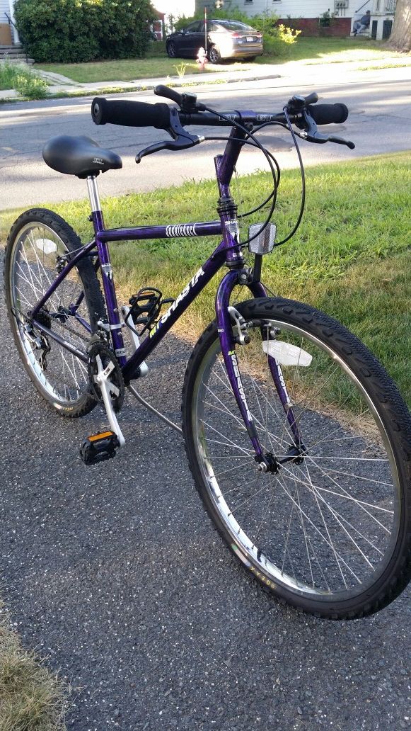 Mt Shasta Saddleback lightweight bike