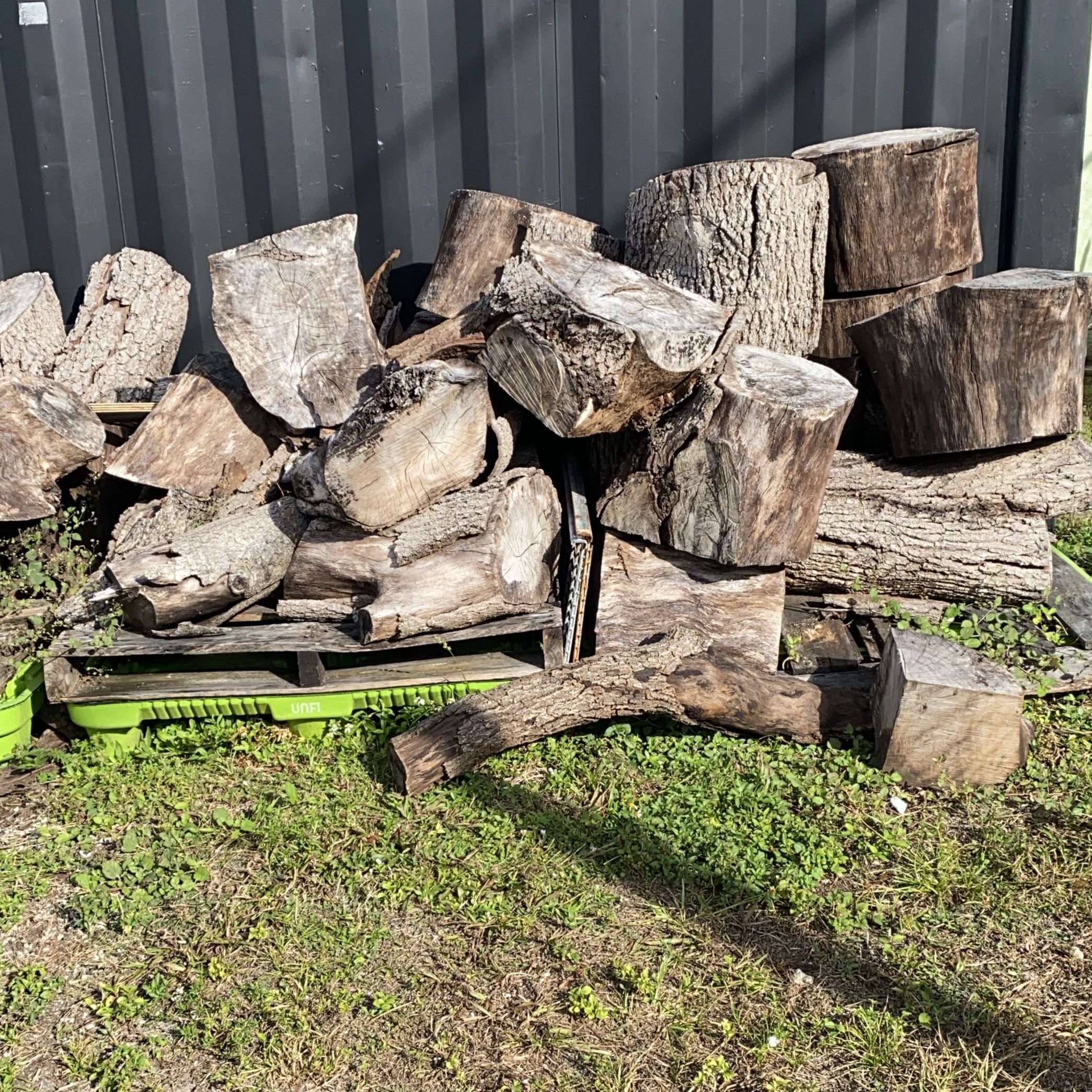 Seasoned Firewood Logs for Sale