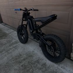 Ebike
