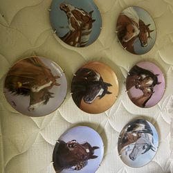 Collectible Plates - Horses!!!  