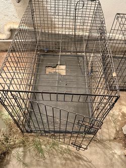 Dog kennel