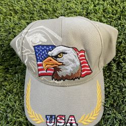 American Eagle And Flag Hat