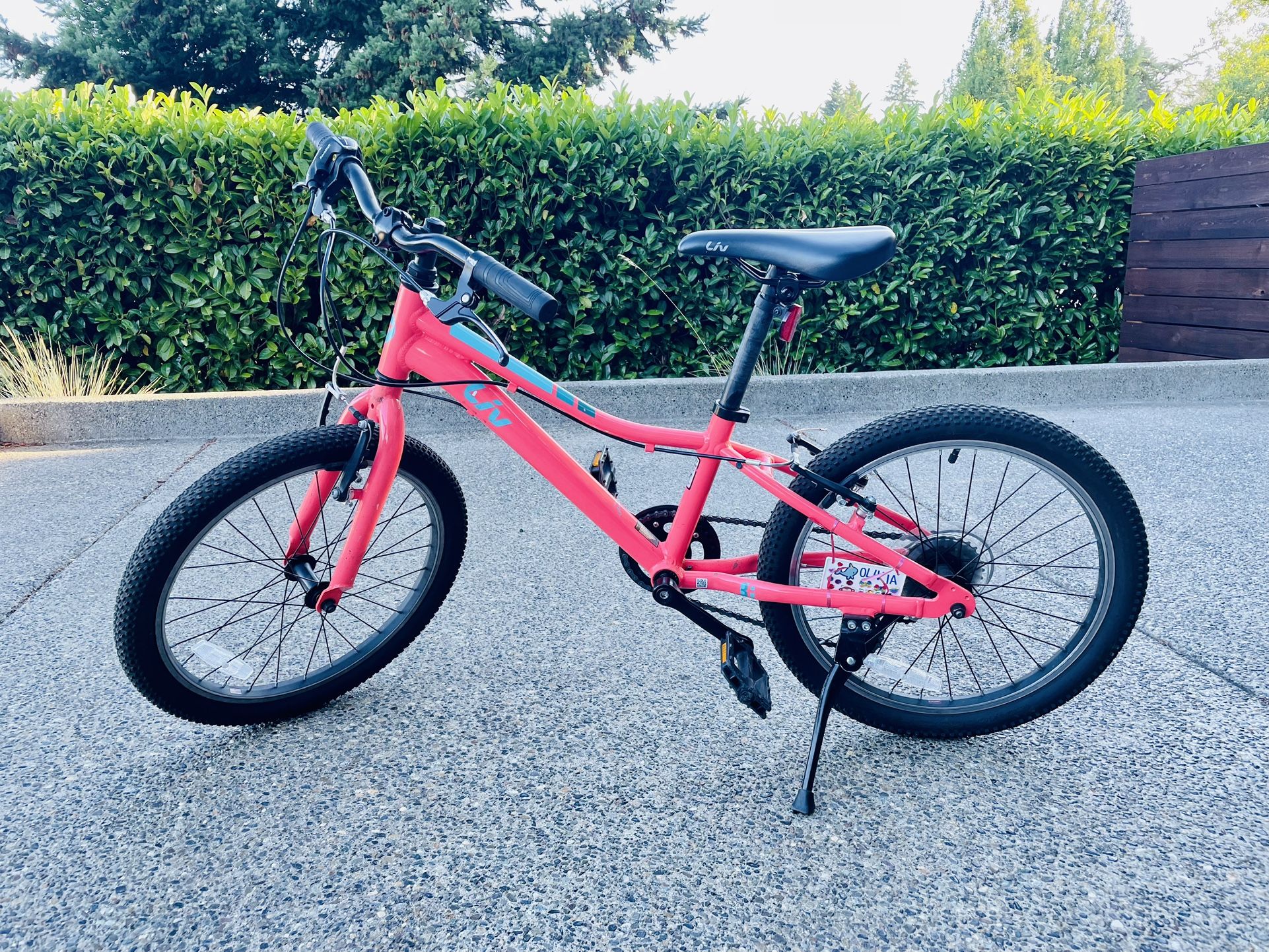 Girls 20 Inch Mountain Bike