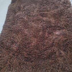 Hermoso y peludito alfombra