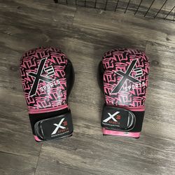 X3 Sports Boxing Gloves