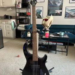 Playmate Bass Guitar