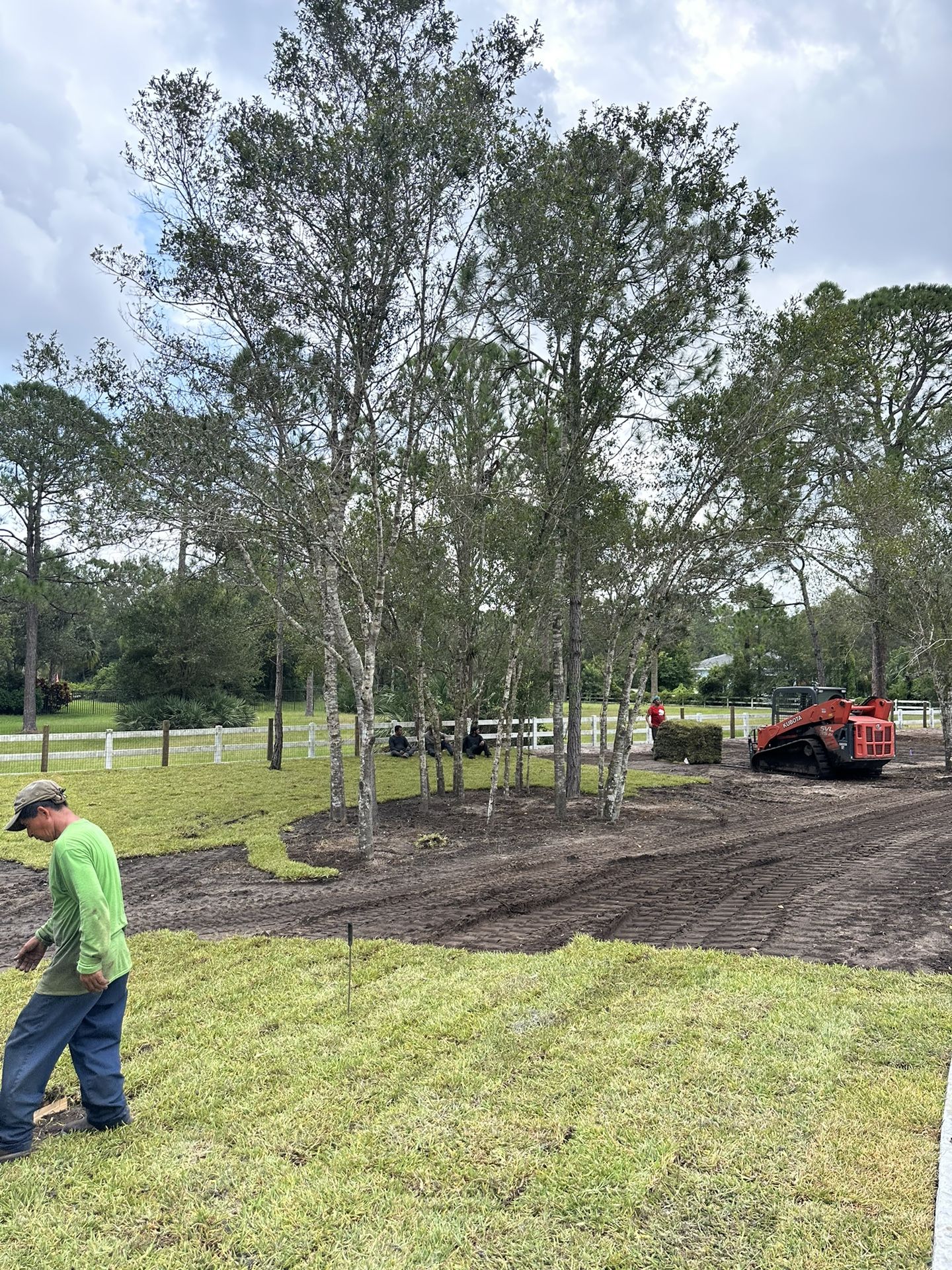Fresh Cut Sod, Delivered or Installed