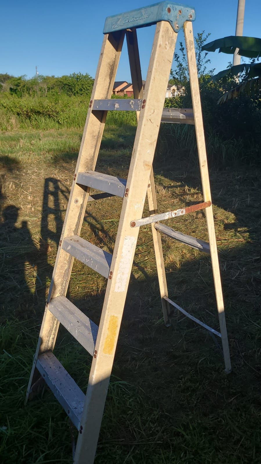 Louisville Ladder 6ft $33