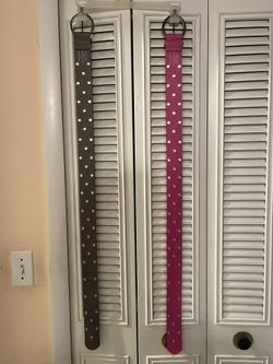 Studded Belts